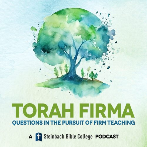 Torah-Firma-Cover-Art